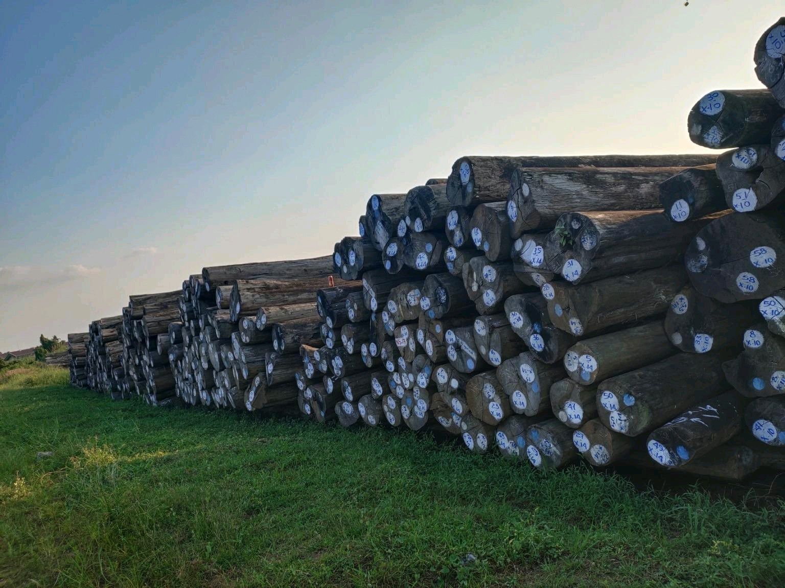 Timber stacks